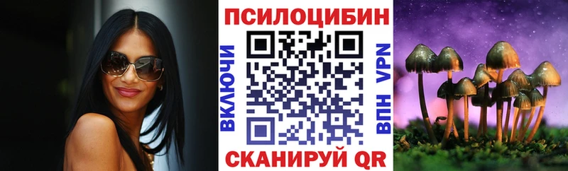 Купить закладки  Татарск  Псилоцибиновые грибы мицелий 